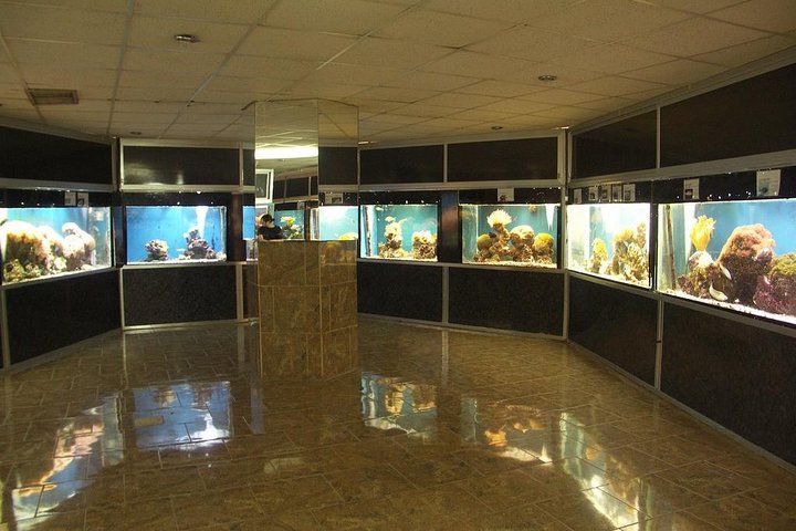 Aqaba Day Tour  - Image 2