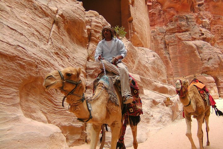 Aqaba Shore Excursion: Private Petra Sightseeing Tour with Lunch - Image 2