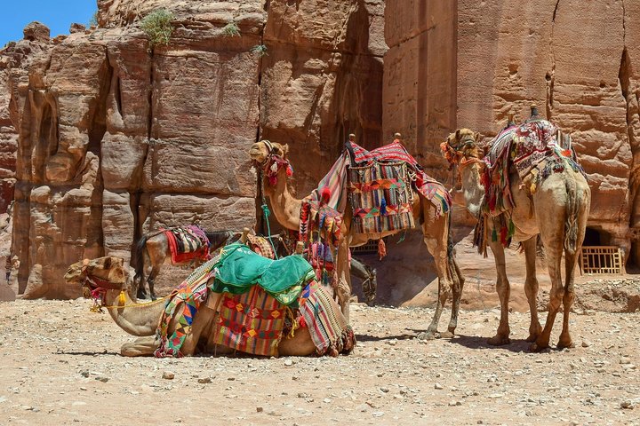 Aqaba Shore Excursion: Private Petra Sightseeing Tour with Lunch - Image 3