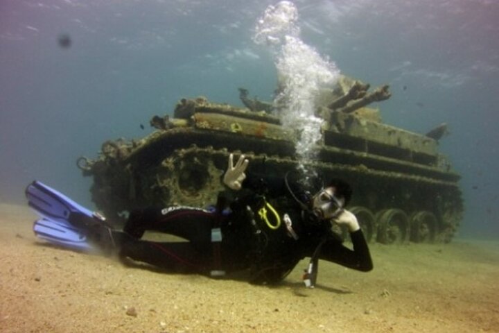 Cruise Experience Half-Day from Aqaba - Image 1