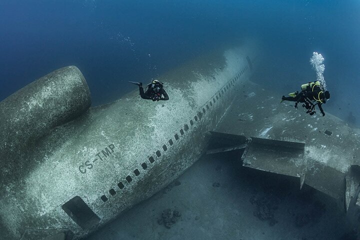 Cruise Experience Half-Day from Aqaba - Image 5