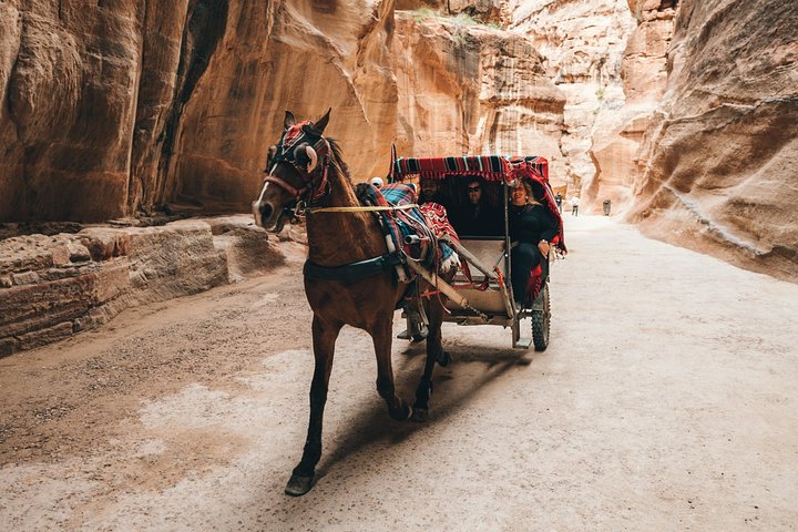 CRUISE SHIPS Travelers | Petra City In One Day | Lunch & Admission fees included - Image 2