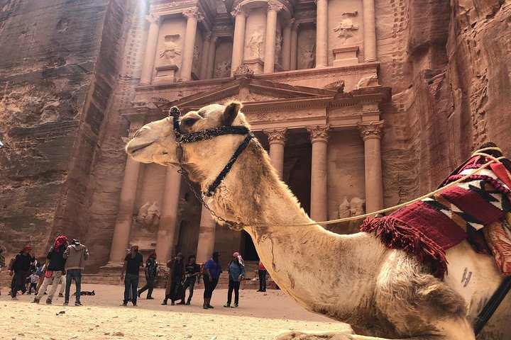CRUISE SHIPS Travelers | Petra City In One Day | Lunch & Admission fees included - Image 5