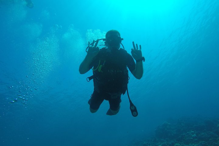 DSD "Discover Scuba Diving" (Min Age 10 Years) - Image 2