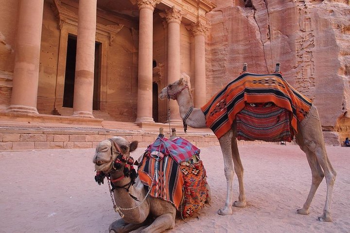 Full-Day Shore Excursion to Petra from Aqaba Port - Image 3