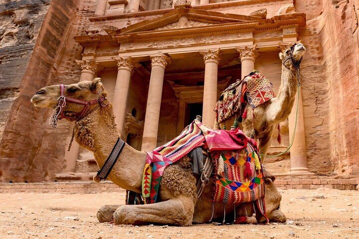 Full Day Tour to Petra from Aqaba  - Image 3