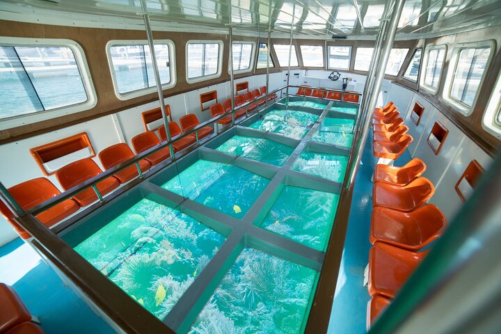Glass-Bottom Boat 2-hours Tour and Coral-Reef Viewing from Aqaba - Image 5