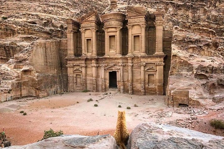 Petra Day Tour from Aqaba Port (Shore Excursion Petra) - JHT  - Image 2
