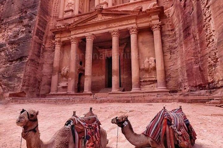petra private day tour from Aqaba - Image 5