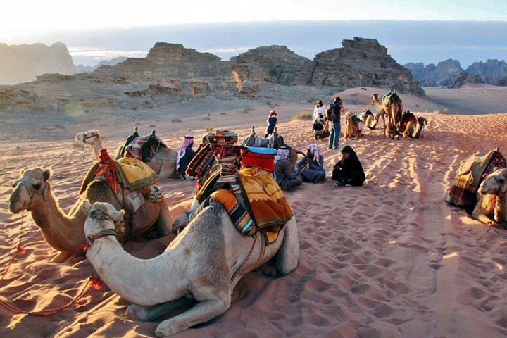Petra & Wadi Rum - One Day - Image 3