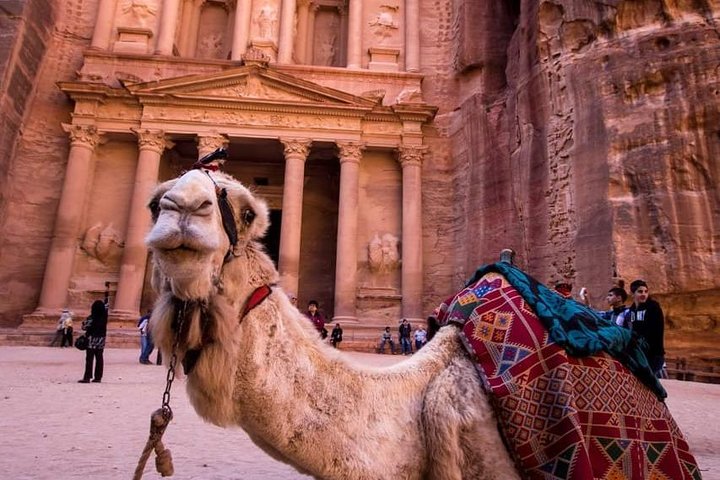 Petra & Wadi Rum - One day tour - Image 1