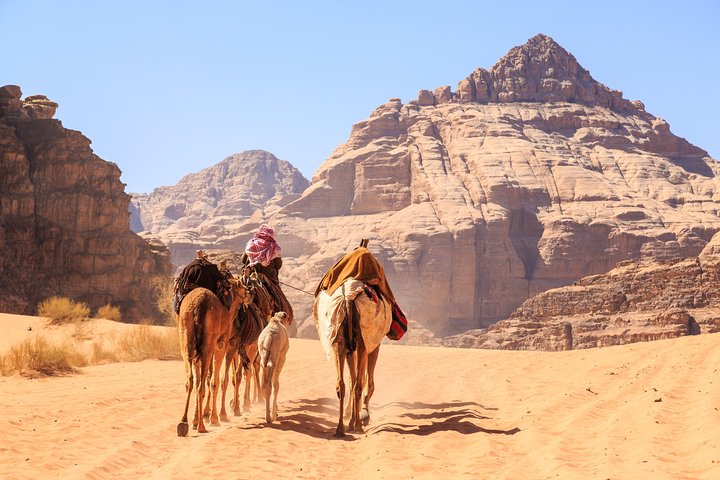 Private Half-Day Aqaba Shore Excursion to Wadi Rum Lawrence of Arabia - Image 5