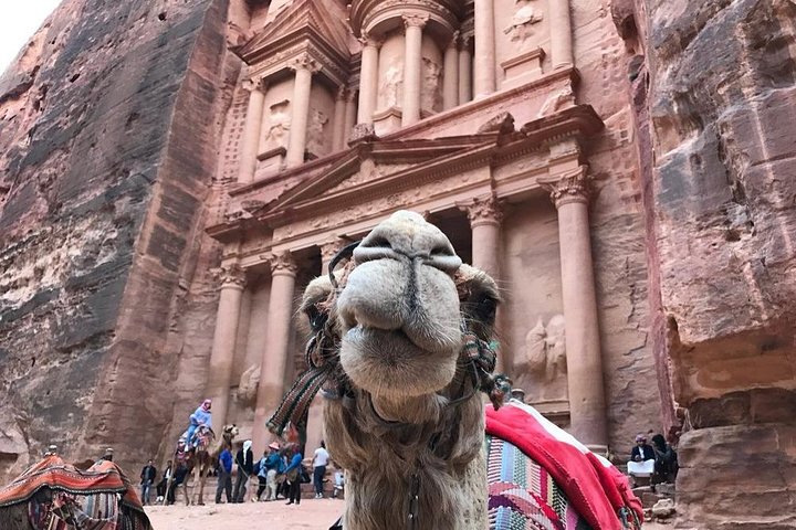 Private Petra Full-Day Trip from Aqaba City - Image 4