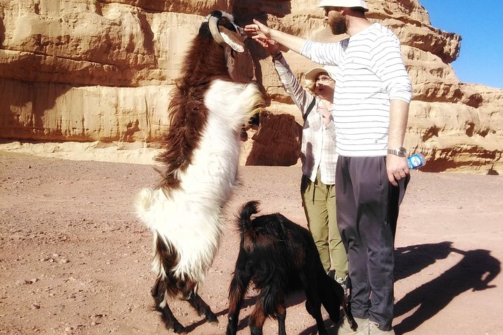 Trekking Wadi Rum Mountain Goat Trail - Image 4
