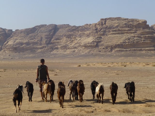 Trekking Wadi Rum Mountain Goat Trail - Image 5