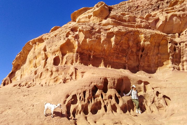 Trekking Wadi Rum Mountain Goat Trail - Image 3
