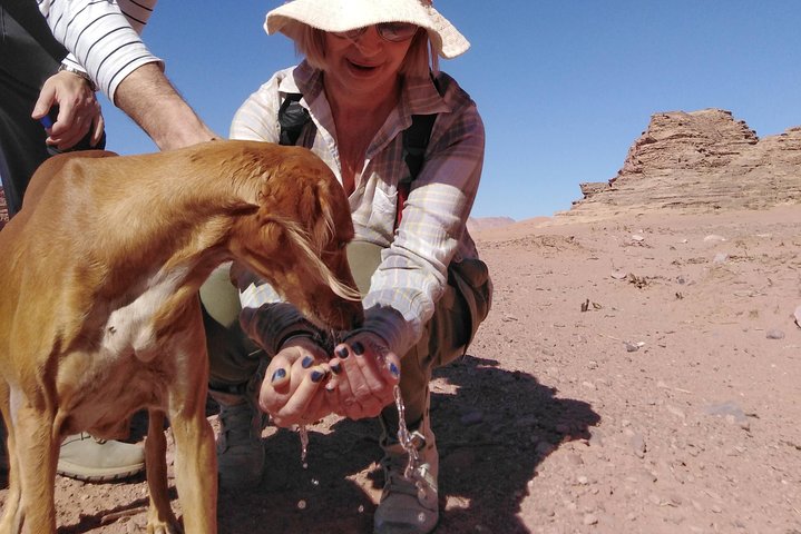 Trekking Wadi Rum Mountain Goat Trail - Image 1
