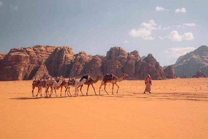 Wadi Rum Half Day From Aqaba Private Tour - Image 3