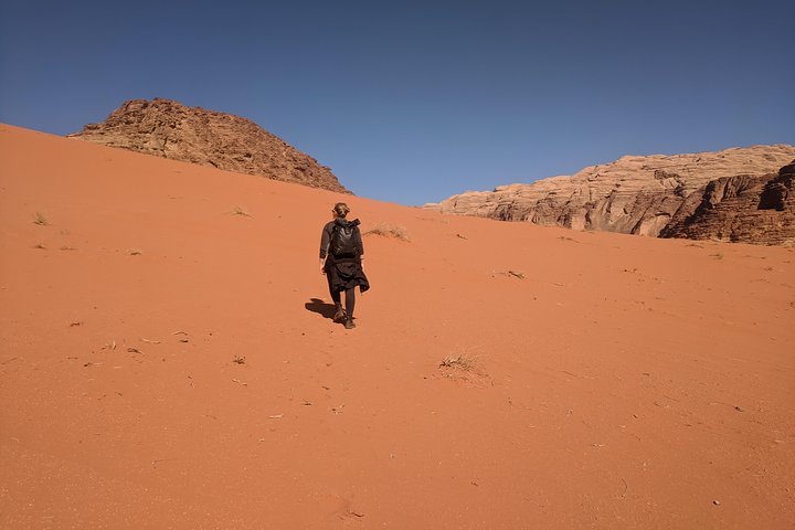 Wadi Rum Shore Excursion Aqaba Port - Image 4