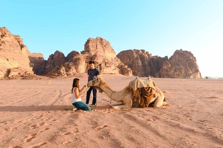 Wadi Rum Shore Excursion Aqaba Port - Image 3