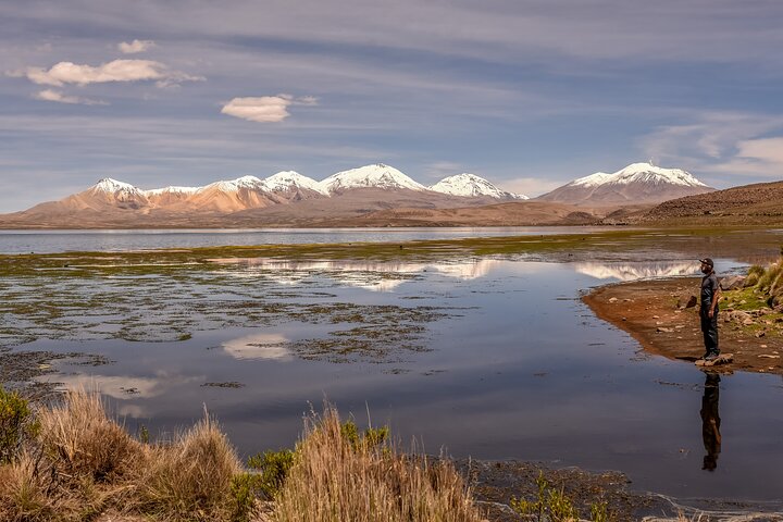 Altiplano 3D 2N Arica Putre Salar de Surire Lake Chungara Arica - Image 1