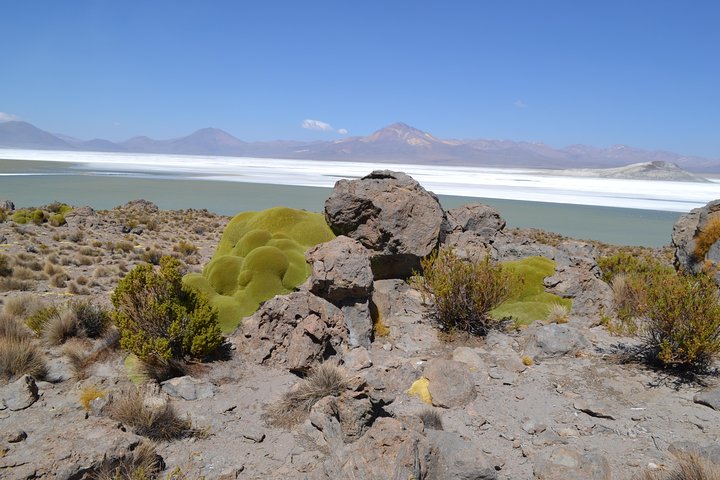 Arica-Lake Chungara-Salar de Surire (3diasy2nights) - Image 3