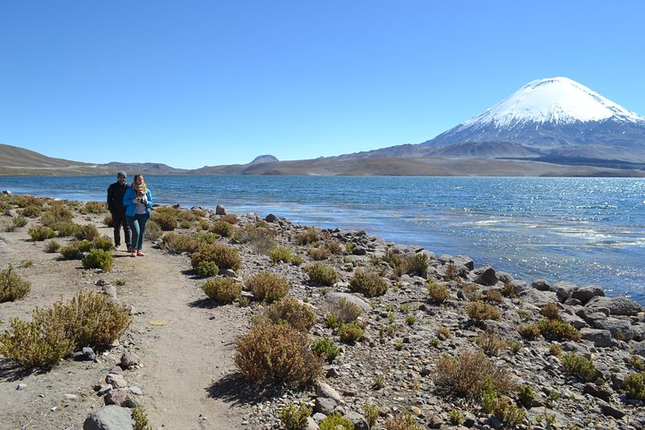 Arica-Lake Chungara-Salar de Surire (3diasy2nights) - Image 2