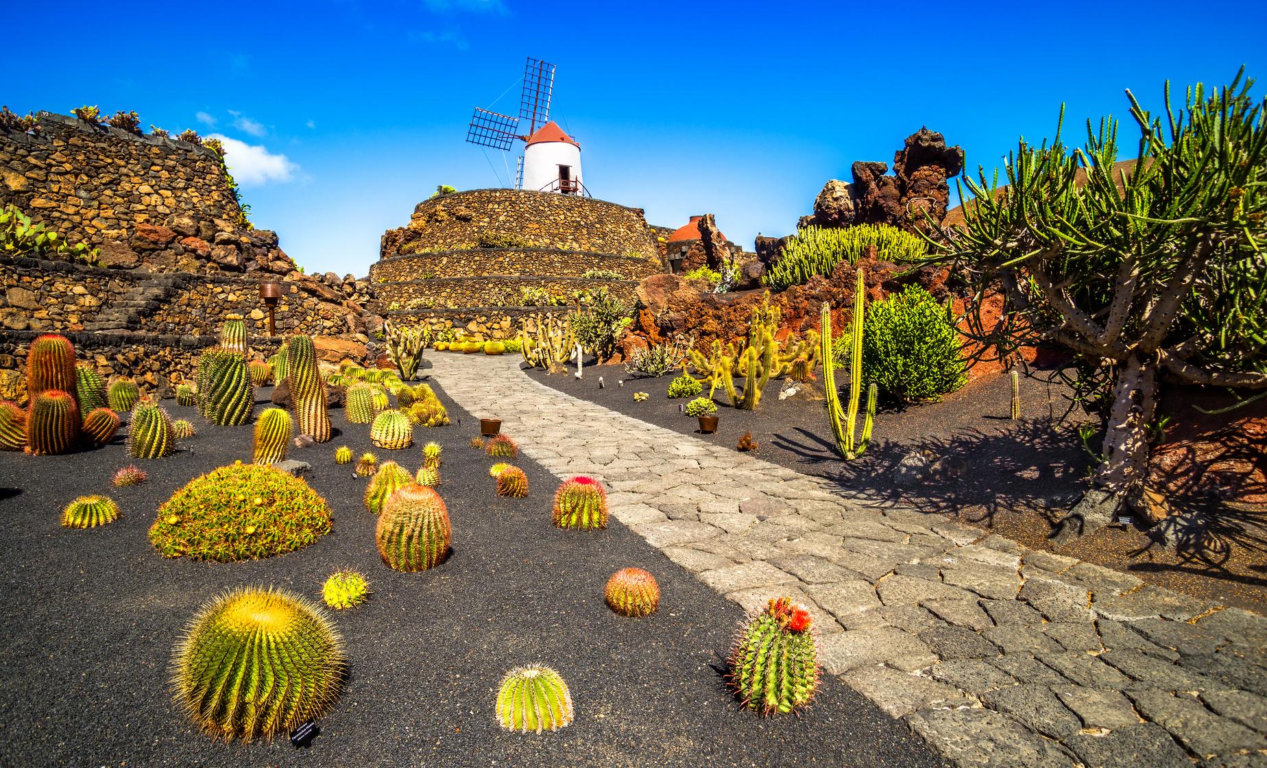 Private Lanzarote Central Route - Image 1