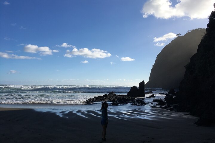 6 Hours Sightseeing Tour in Auckland - Image 5