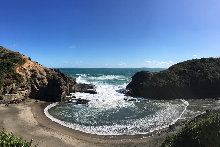 6 Hours Sightseeing Tour in Auckland - Image 2