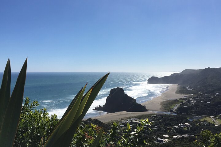 6 Hours Sightseeing Tour in Auckland - Image 1