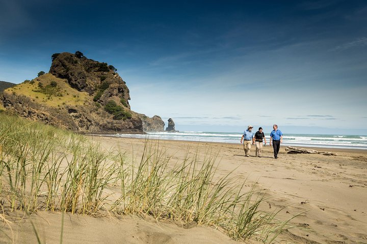 Auckland City and West Coast Full Day Tour - Image 1