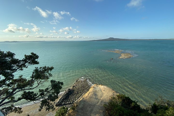 Auckland City Discovery Experience - Private Tour From Auckland - Image 2