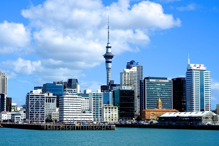 Auckland City Discovery Experience - Private Tour From Auckland - Image 4