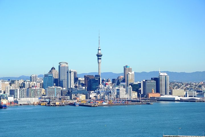 Auckland City Discovery Experience - Private Tour From Auckland - Image 5
