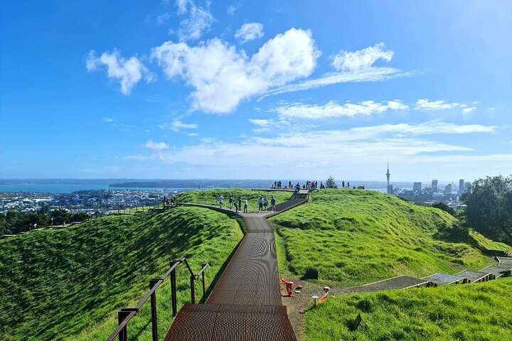 Auckland City Highlights Day Tour - Image 4