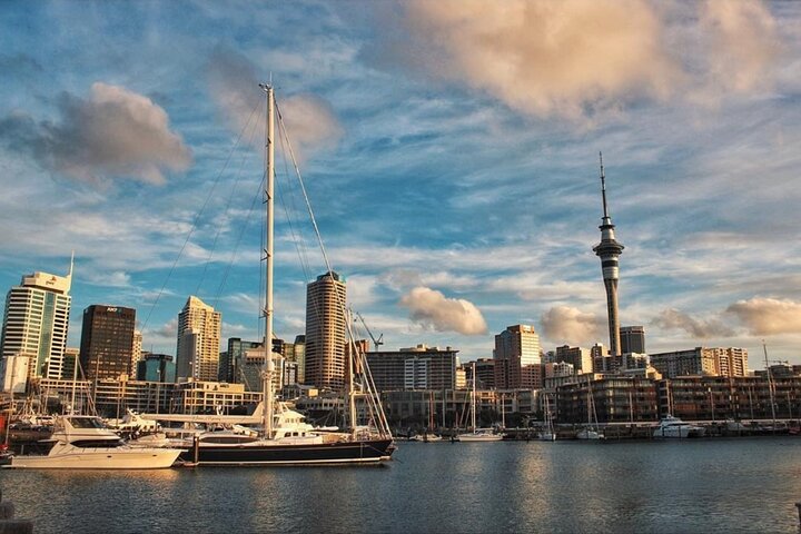 Auckland City Highlights Day Tour - Image 3