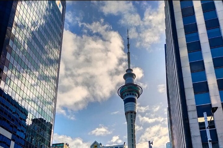 Auckland City Highlights Day Tour - Image 2