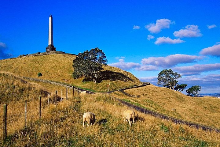 Auckland City Private Tour for Couples. Be chauffeur driven with added extras. - Image 2