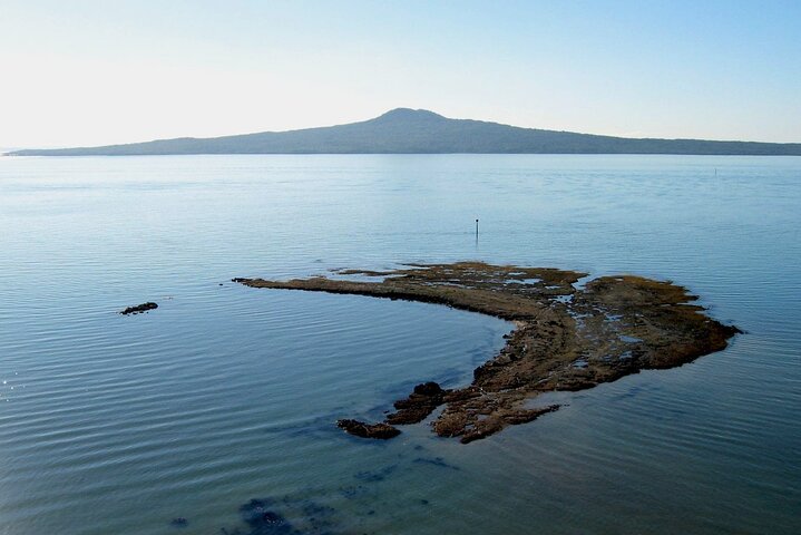 Auckland Coastal Discovery - Private Tour Incl. Wine Tasting - Image 2