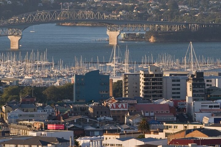 Auckland Shore Excursion Private Tour - Image 2