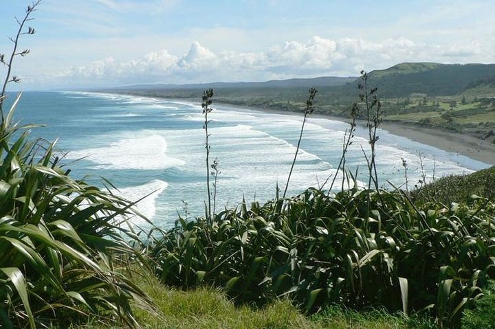 Auckland Shore Excursion: West Coast Wineries Tour - Image 1