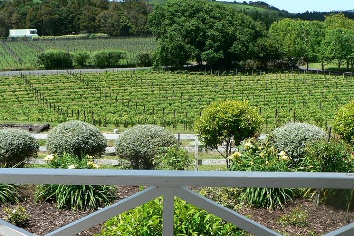 Auckland Shore Excursion: West Coast Wineries Tour - Image 2