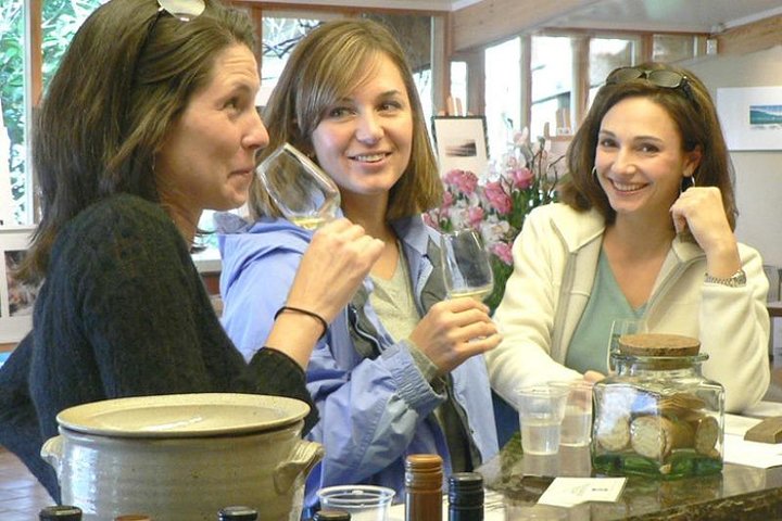 Auckland Shore Excursion: West Coast Wineries Tour - Image 5