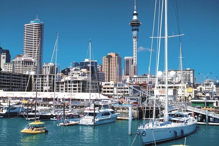 Auckland Shore Excursion: West Coast Wineries Tour - Image 4