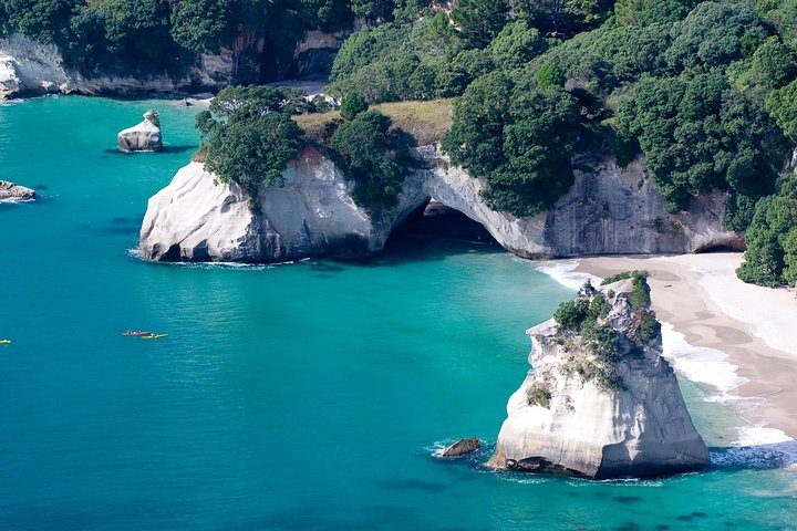 Auckland to Coromandel Private Tour - Image 1