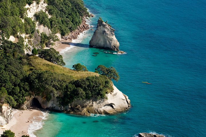 Auckland to Coromandel Private Tour - Image 3