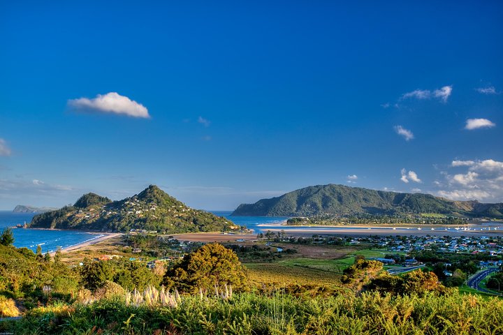 Auckland to Coromandel Private Tour - Image 2