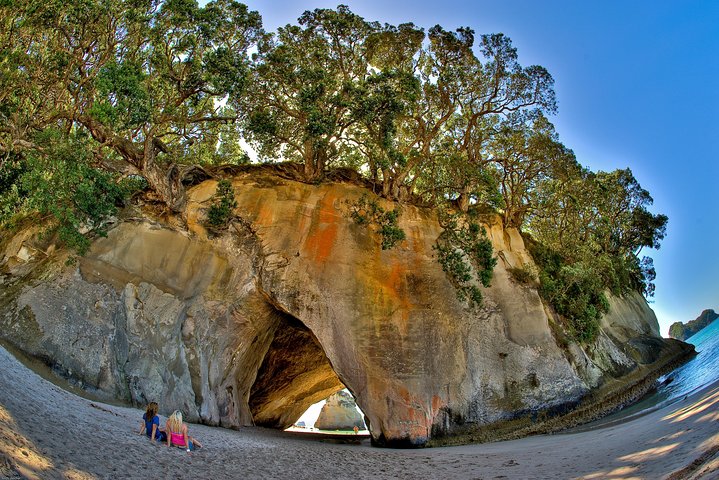 Auckland to Coromandel Private Tour - Image 5