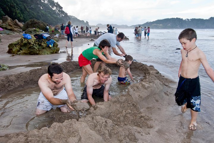 Auckland to Coromandel Private Tour - Image 4